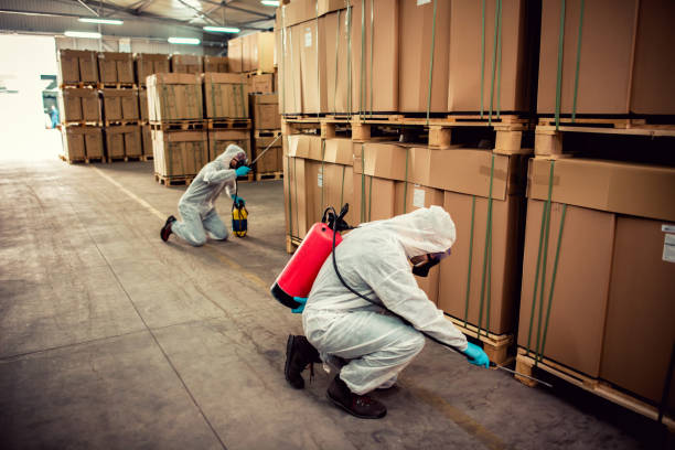 Best Affordable Pest Control Services  in Kingston Springs, TN