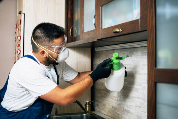 Best Emergency Pest Control  in Kingston Springs, TN