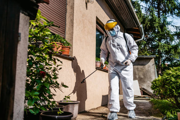 Reliable Kingston Springs, TN Pest Control Solutions