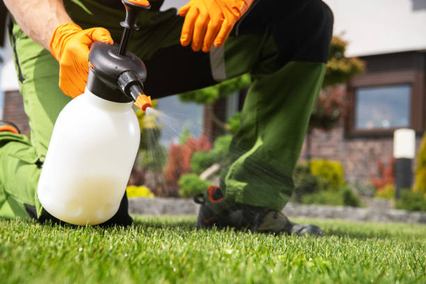 Best Termite Control Services  in Kingston Springs, TN