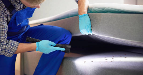 Best Affordable Pest Control Services  in Kingston Springs, TN