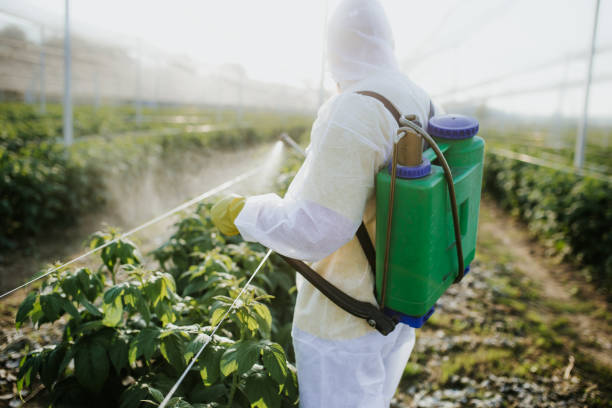 Best Pest Inspection Near Me  in Kingston Springs, TN